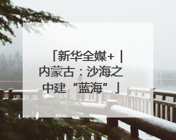 新华全媒+｜内蒙古：沙海之中建“蓝海”